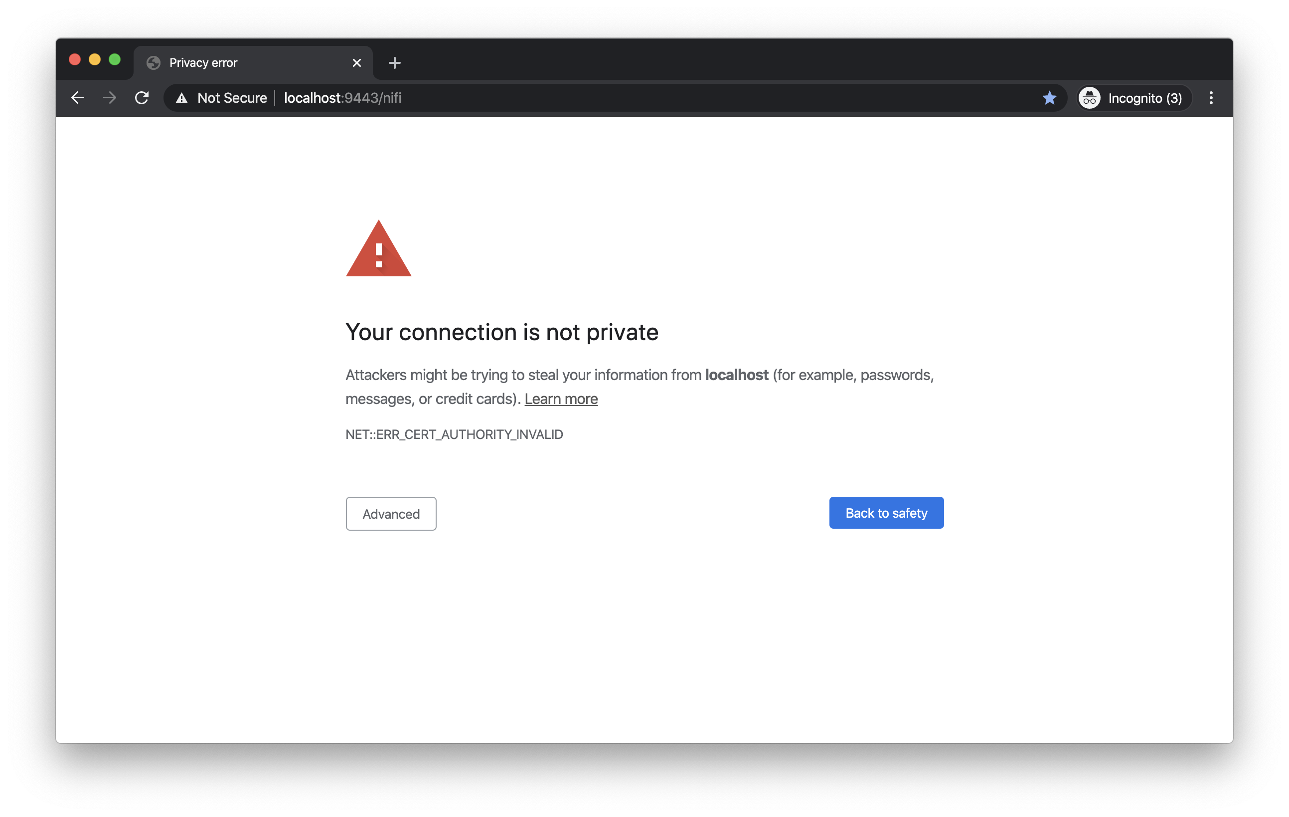 Browser warning on untrusted server TLS certificate